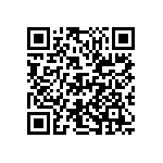 D55342E07B135ERWS QRCode