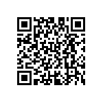 D55342E07B13B0R QRCode