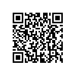 D55342E07B13B3RWS QRCode