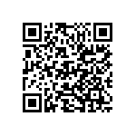 D55342E07B13E3RWS QRCode