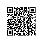 D55342E07B140ERWS QRCode