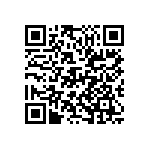 D55342E07B167BRWS QRCode