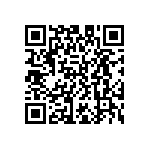 D55342E07B1B33RTP QRCode