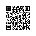 D55342E07B1B45RWS QRCode