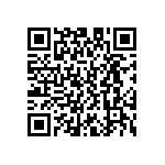 D55342E07B1E74RWS QRCode