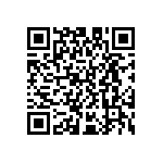 D55342E07B213BRT5 QRCode