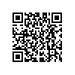 D55342E07B221ERWS QRCode