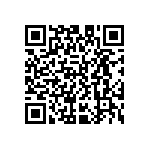 D55342E07B22B6RTP QRCode