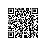 D55342E07B232BMWS QRCode