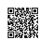D55342E07B237BPWS QRCode