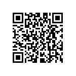 D55342E07B237ERWS QRCode