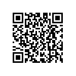 D55342E07B249ERWS QRCode
