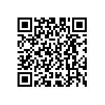 D55342E07B250ARWS QRCode