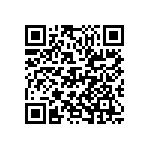 D55342E07B261BRWS QRCode