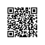 D55342E07B280BRWS QRCode