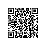 D55342E07B294ARWS QRCode