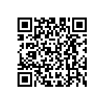D55342E07B2B00PT1 QRCode