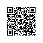 D55342E07B2B87RWS QRCode