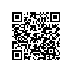 D55342E07B2B91RWS QRCode