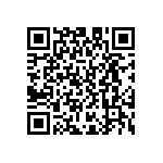 D55342E07B2B94PWS QRCode