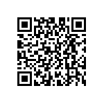 D55342E07B2E61RT1 QRCode