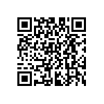 D55342E07B33E2RTF QRCode