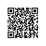 D55342E07B33K0RT1 QRCode