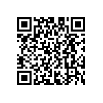 D55342E07B340ERWS QRCode