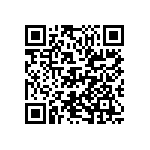 D55342E07B365ERWS QRCode