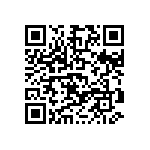D55342E07B374ERWS QRCode