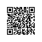 D55342E07B37E4RWS QRCode