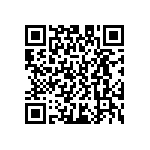 D55342E07B383ARWS QRCode