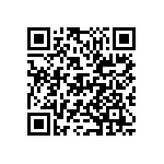 D55342E07B3B28RWS QRCode