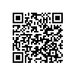 D55342E07B402ERWS QRCode