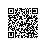 D55342E07B41B2RWS QRCode