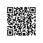 D55342E07B42E2RTP QRCode
