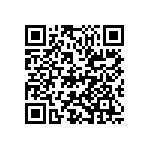 D55342E07B49E9RTF QRCode