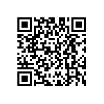 D55342E07B4B99MT1 QRCode