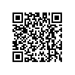 D55342E07B4B99PWS QRCode