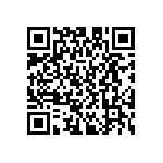 D55342E07B523BPWS QRCode