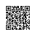 D55342E07B619EPWS QRCode