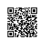 D55342E07B634BPWS QRCode