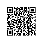 D55342E07B634ERWS QRCode