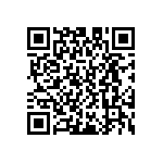 D55342E07B787ERWS QRCode