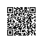 D55342E07B8B16RWS QRCode