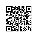 D55342H07B133ERWS QRCode