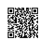 D55342H07B383ERWS QRCode