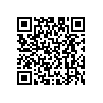 D55342H07B4E02PWS QRCode