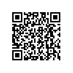 DAM11P1P1A5NA191K87 QRCode
