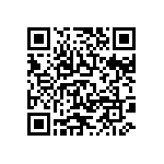 DAMT11C1P0L4A191K87 QRCode